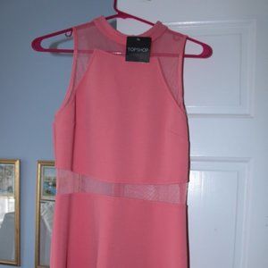 Top Shop High-Neck Mesh Skater Dress